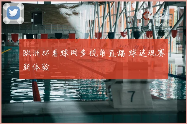 欧洲杯看球网多视角直播 球迷观赛新体验