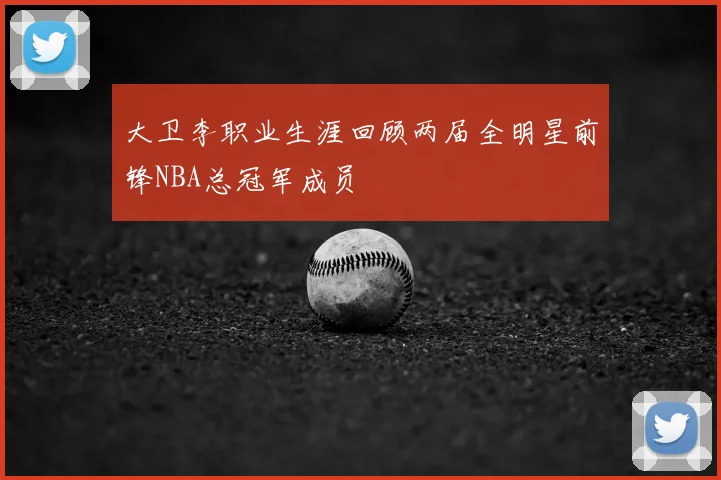 大卫李职业生涯回顾两届全明星前锋NBA总冠军成员