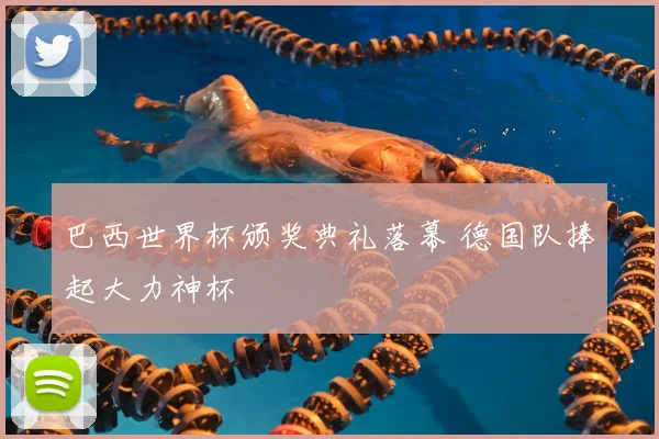 巴西世界杯颁奖典礼落幕 德国队捧起大力神杯