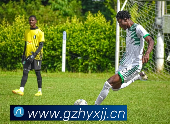 华体会体育官方在线官网APP 封面图